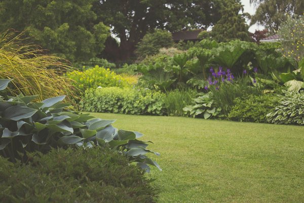 Landscape gardeners croydon: transforming outdoor spaces with skilled expertise